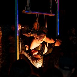 2023 - party - 000608